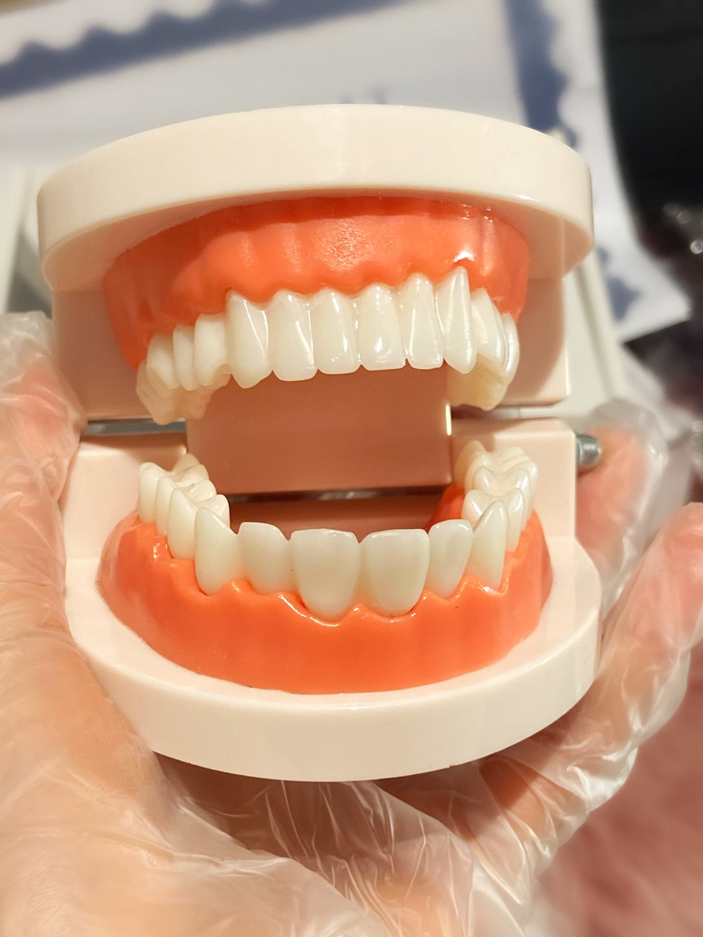 Business Starterkit(Schulung)