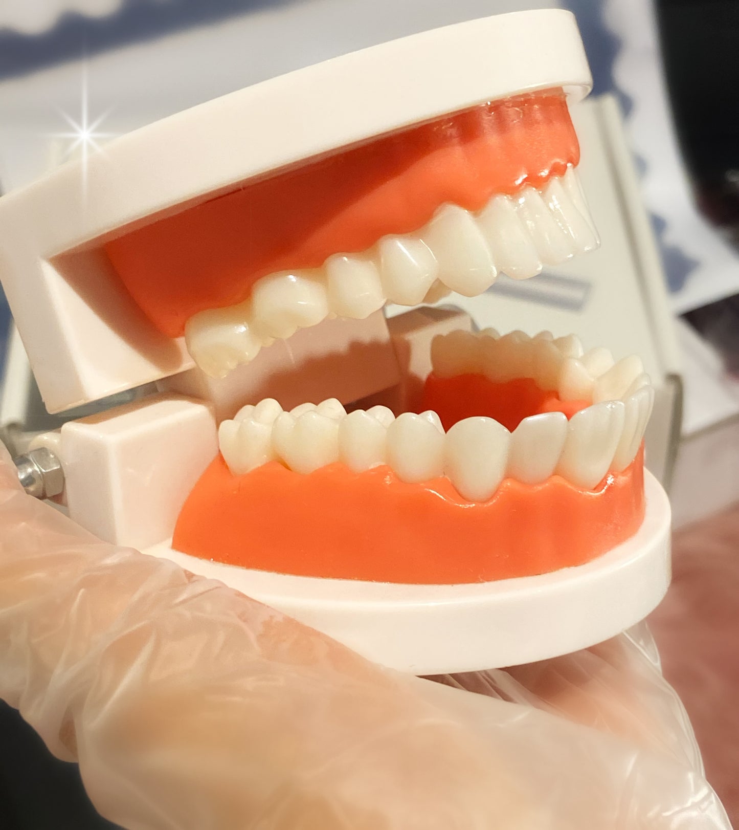 Business Starterkit(Schulung)